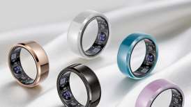 VitahuntָܽƾΣ͹̬ϴܴҵհ