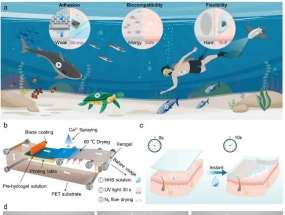 �������Ŷӹ������⣬�з�����ˮ�´���������10��ˮ��ǿ��𤸽