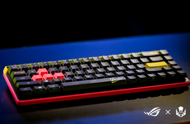 Vitality˿˷ɶROGװᣬ羺