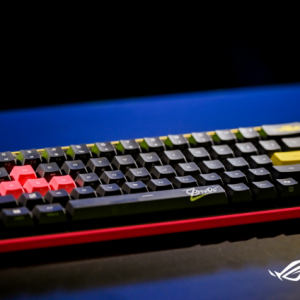 Vitality˿˷ɶROGװᣬ羺