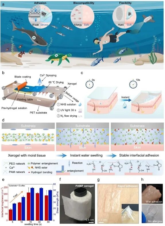 �������Ŷӹ������⣬�з�����ˮ�´���������10��ˮ��ǿ��𤸽